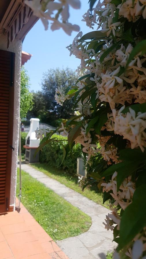 Villetta Cinquale Versilia Eksteriør billede